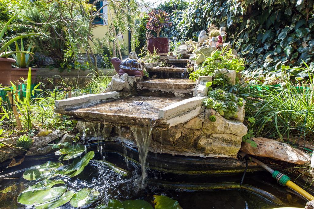 Apartments And Rooms Villa Dea Adults Only Ровинь Экстерьер фото